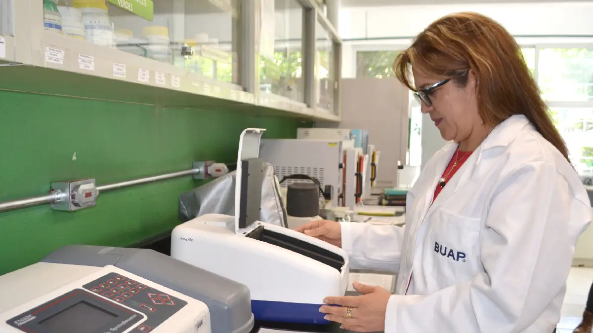 Investigadores BUAP contribuyen a lograr la inocuidad en la producción de cilantro en Puebla