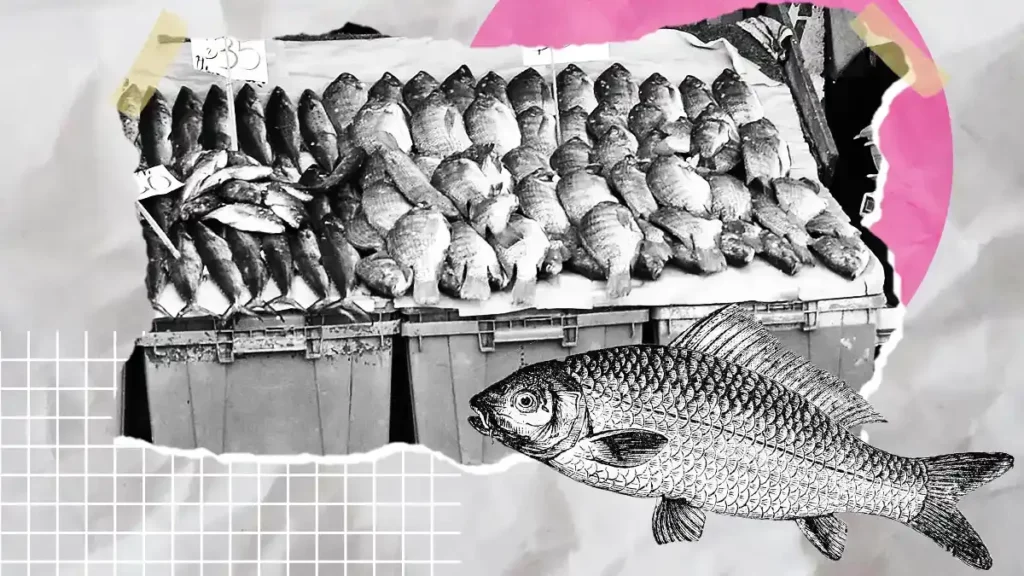Advierten clausuras definitivas a pescaderías de la 16 poniente en Puebla
