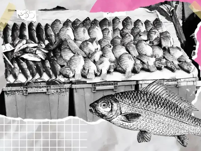 Advierten clausuras definitivas a pescaderías de la 16 poniente en Puebla