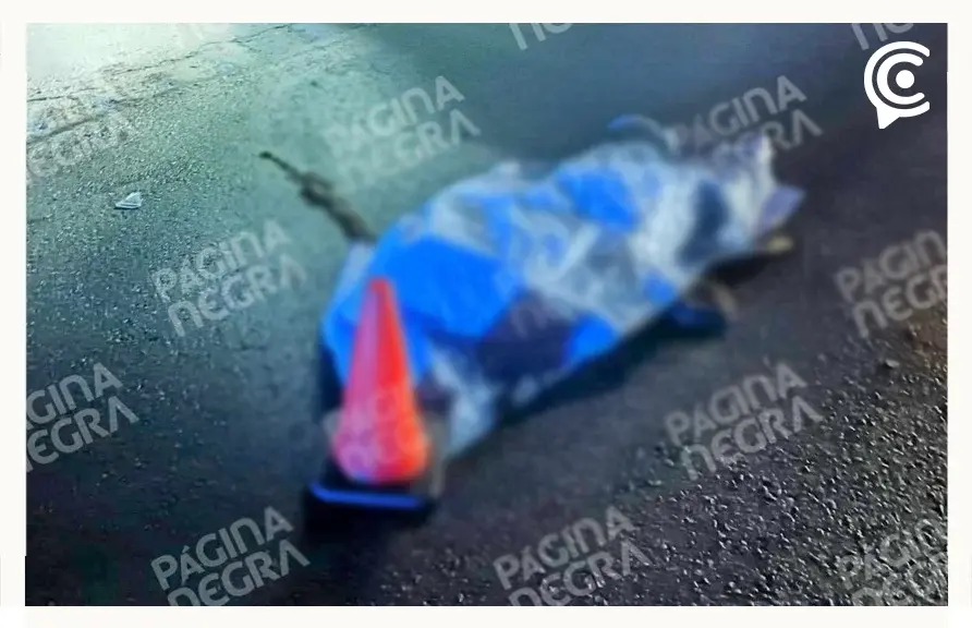 Persona muere atropellada en la autopista Puebla-Orizaba; responsable se da a la fuga 