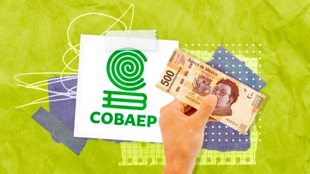 Detectan irregularidades en el uso de recursos por más de 18 mdp del Cobaep