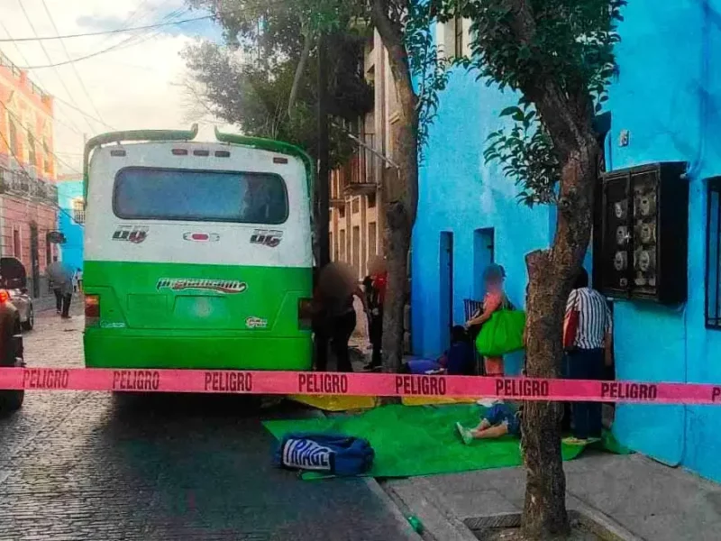 Ruta chocó contra árbol y dejó siete lesionados en el centro de Puebla