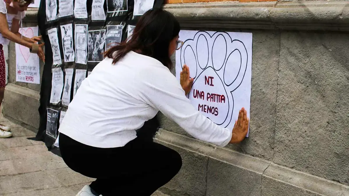 Abogados Animalistas convocan a manifestación en la FGE el 11 de noviembre