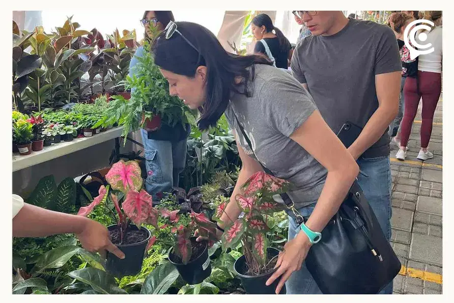 Regresa el Plant Fest a Cholula con la última edición de este 2023