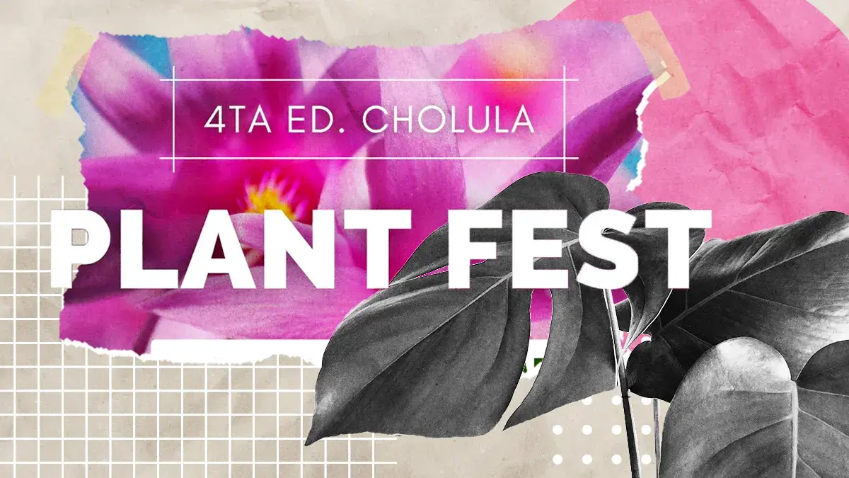 Regresa el Plant Fest a Cholula con la última edición de este 2023