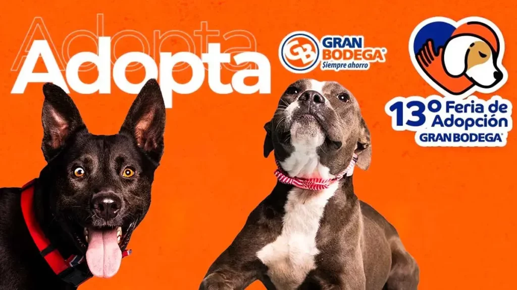 Gran Bodega anuncia su 13° Feria de Adopción canina, te contamos los detalles