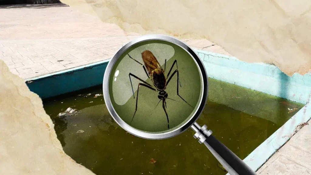 Secretaría de Salud detecta 28 casos nuevos de dengue en Puebla