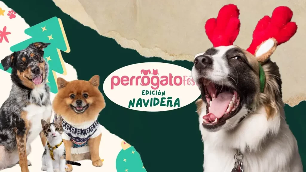 Celebra estas fechas en Puebla en el Perrogato Fest edición navideña