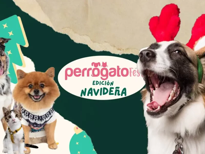 Celebra estas fechas en Puebla en el Perrogato Fest edición navideña