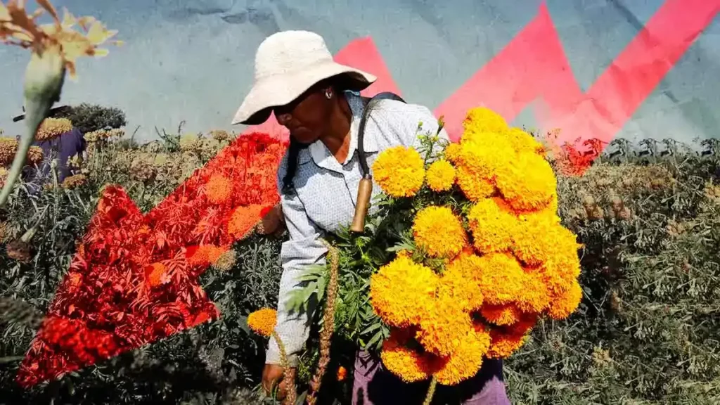 Disminuye el número de mujeres dedicadas al campo en Puebla: INEGI