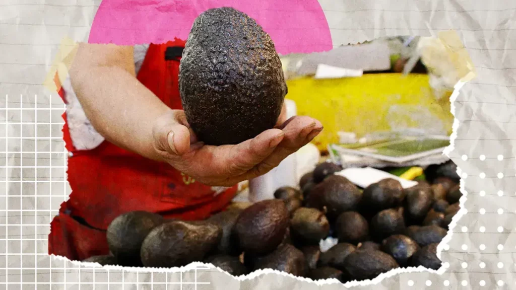 Gobierno de Atlixco y productores invitan a la primera Feria del Aguacate