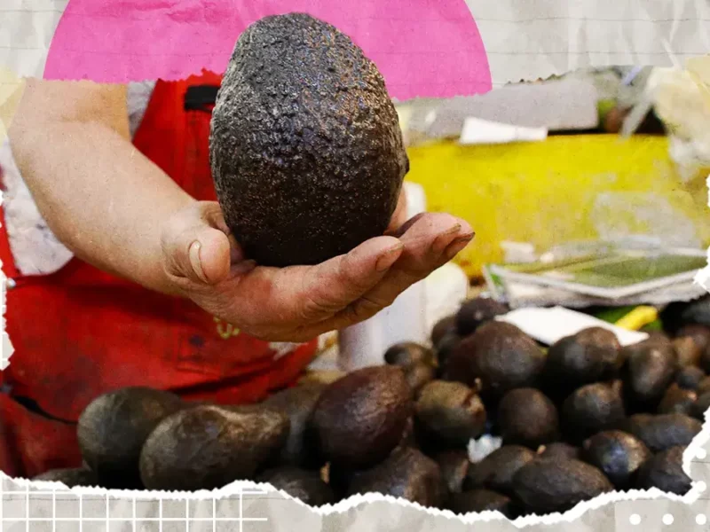 Gobierno de Atlixco y productores invitan a la primera Feria del Aguacate