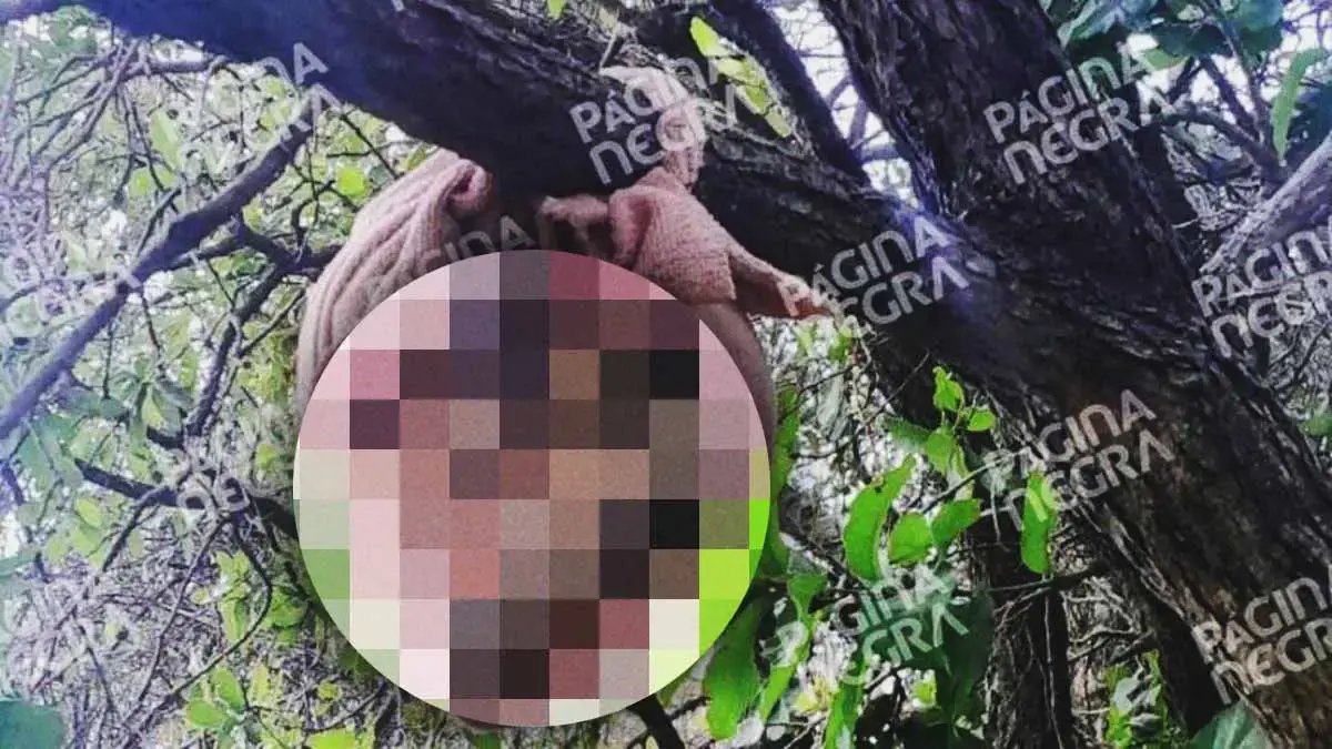 Encuentran cráneo humano en Cuautlancingo; estaba envuelto en una toalla