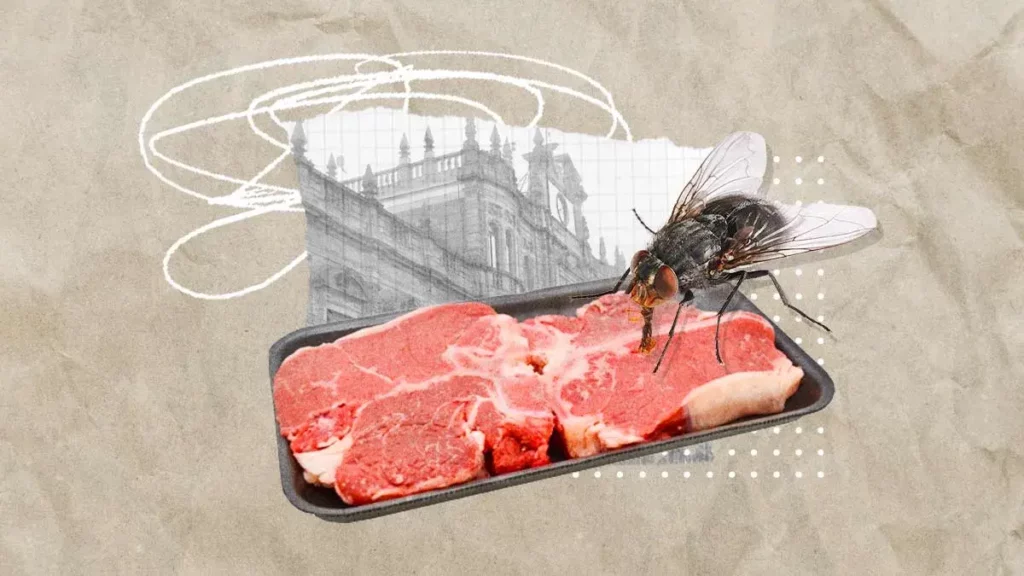 Ayuntamiento ha detectado carne de mala calidad en estos establecimientos de Puebla