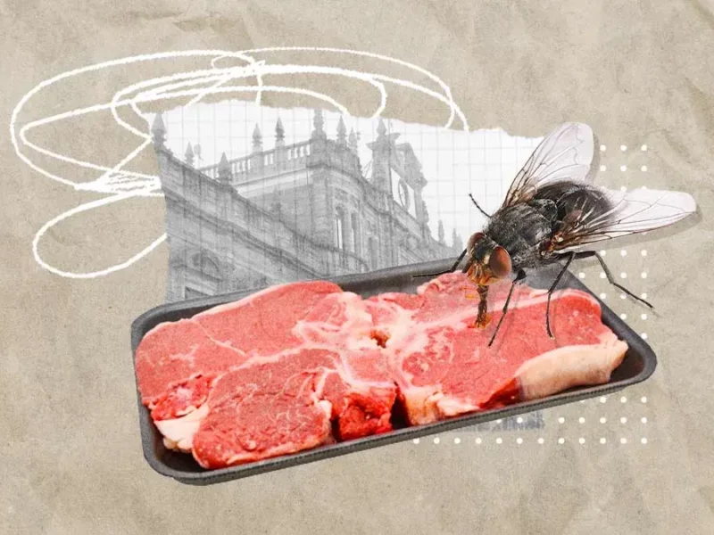 Ayuntamiento ha detectado carne de mala calidad en estos establecimientos de Puebla