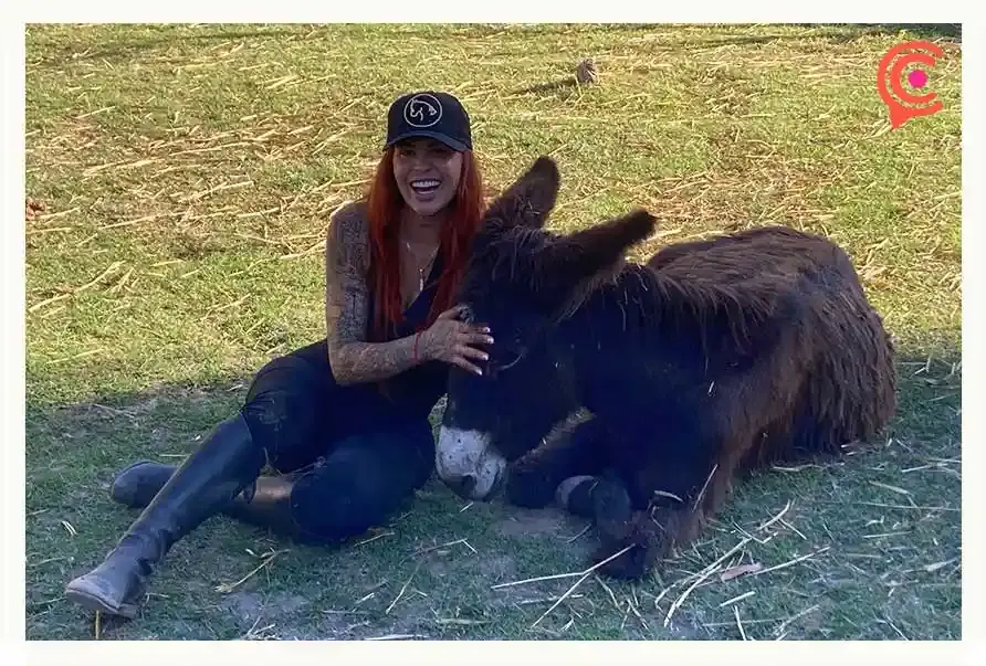 Cuacolandia en Puebla ha rescatado más de 300 caballos maltratados y abandonados