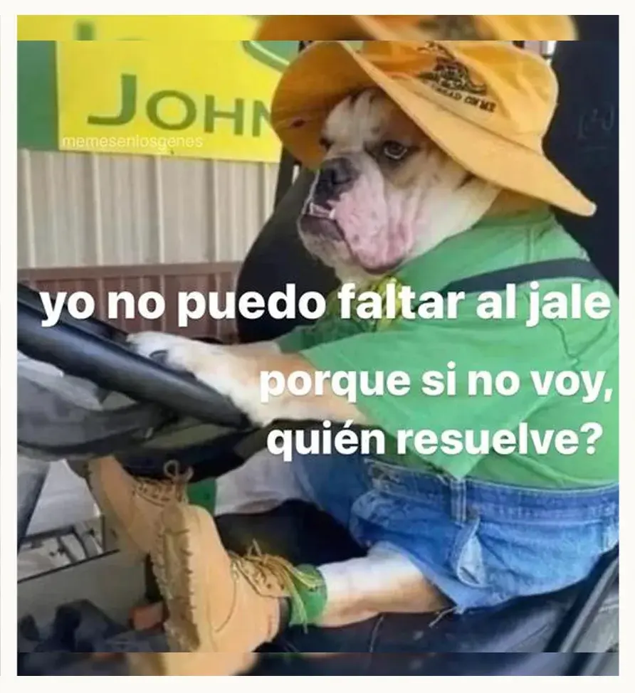 ¿Qué es resolver? Te explicamos el meme y la tendencia viral