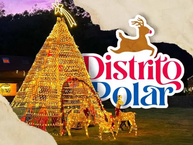 Lánzate a la edición Distrito Polar 2023 en Puebla y vive una Navidad inigualable