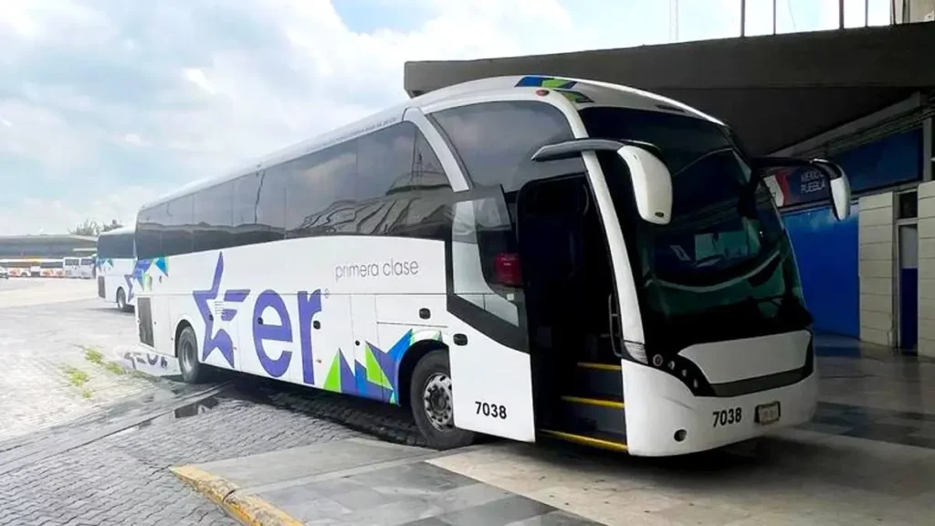 Estrella Roja libera sus descuentos de temporada decembrina para viajeros