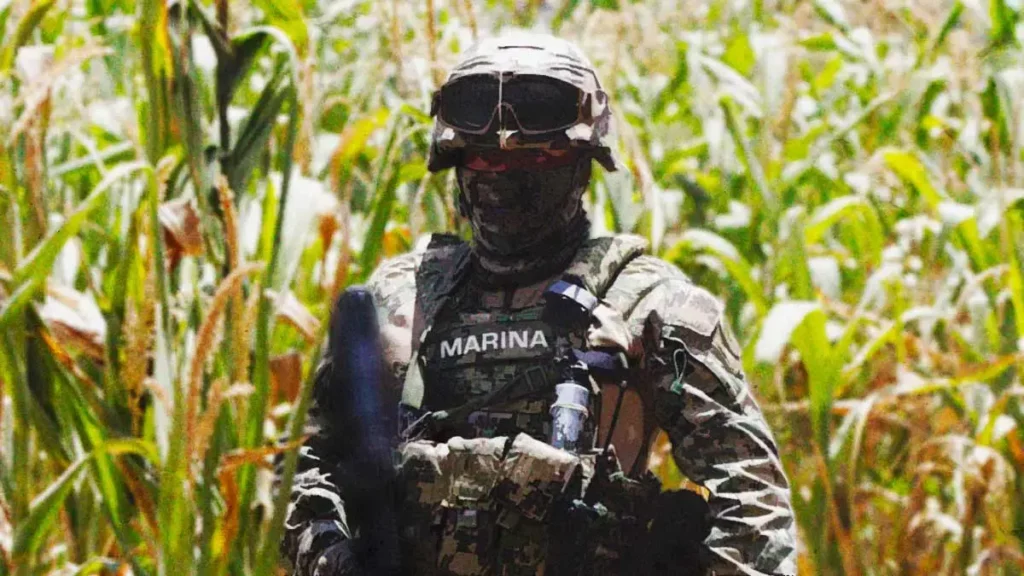 La Marina detiene en operativo a cinco hombres fuertemente armados en Sanctorum