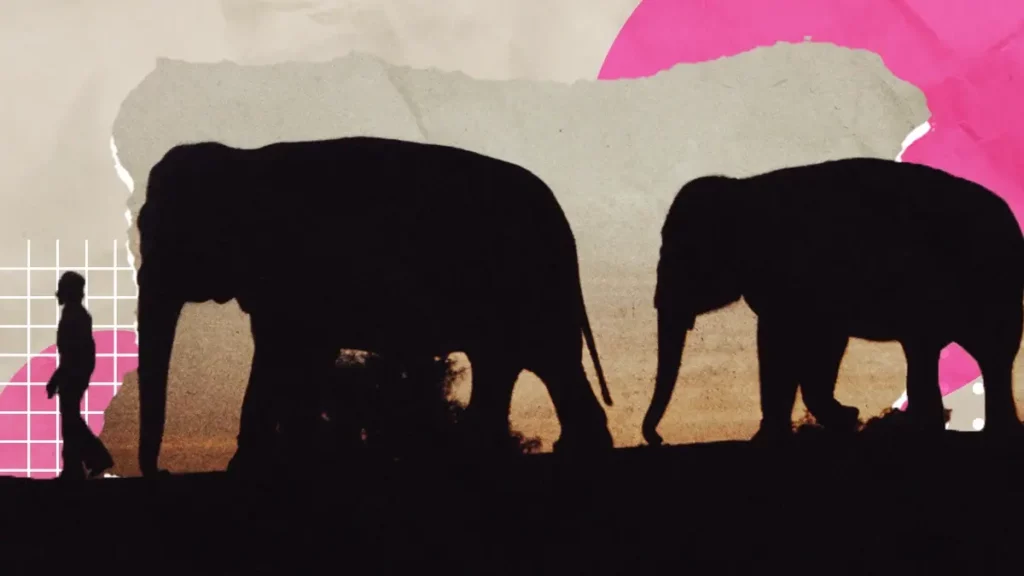 Vive una aventura inigualable en Africam Safari con sus recorridos nocturnos