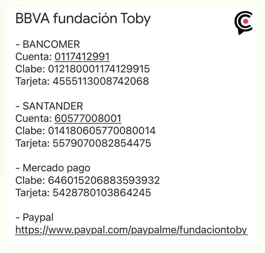 Roban y envenena a un perro en la Fundación Toby; Sandra Cuevas pagará reparaciones