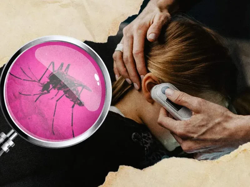 Salud de Puebla reporta un acumulado de tres mil 165 casos de dengue