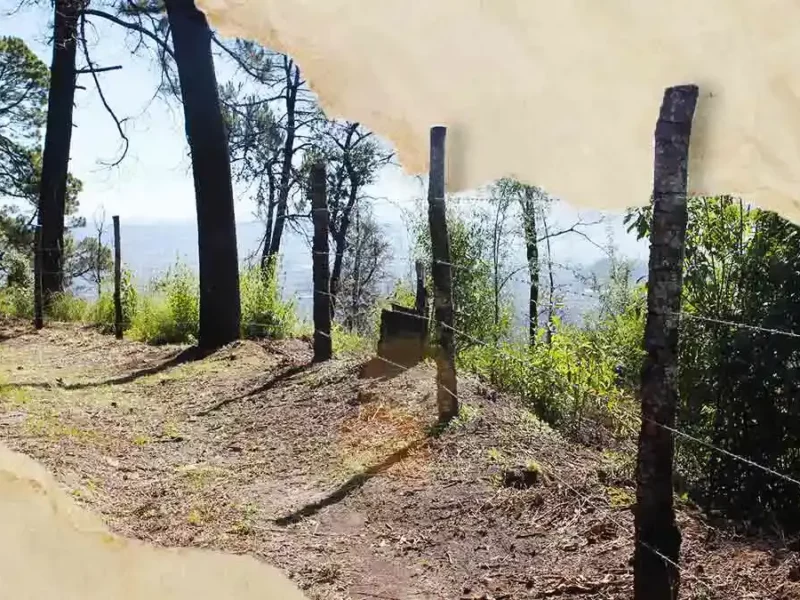 Informan cierre temporal del Parque Nacional Izta-Popo por frente frío