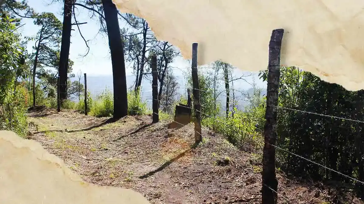 Informan cierre temporal del Parque Nacional Izta-Popo por frente frío