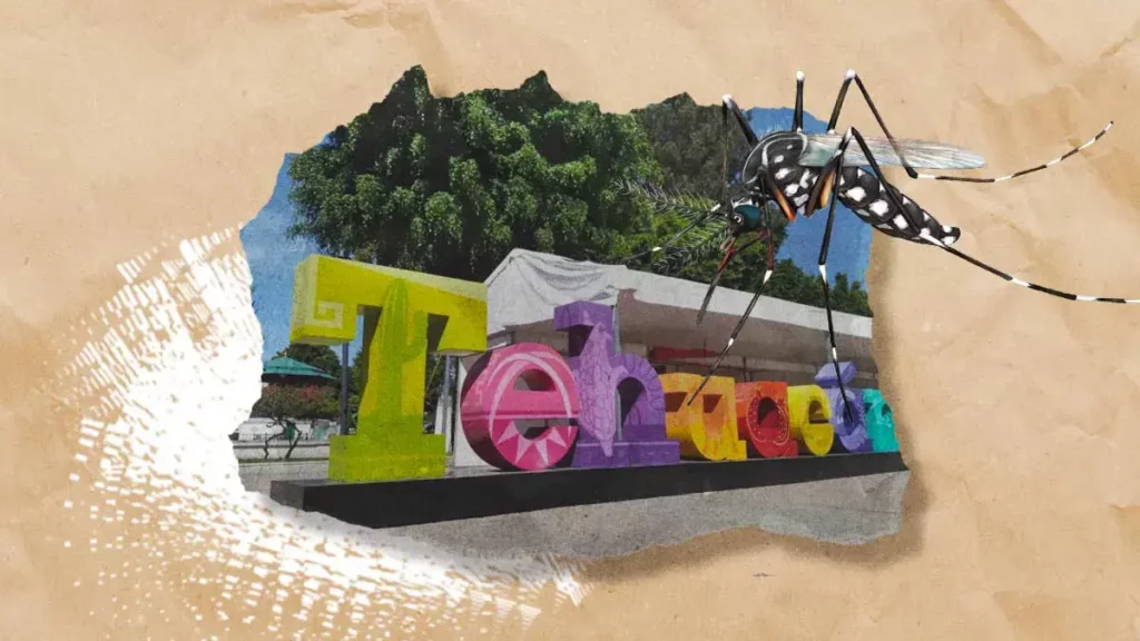 Tehuacán es el municipio de Puebla con más casos de dengue en 2023