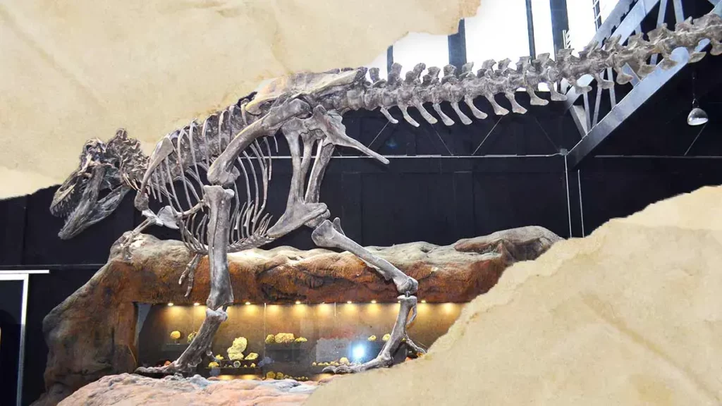 Museo de la Evolución de Puebla fue el más visitado en 2023