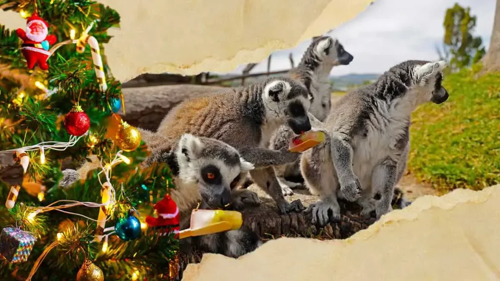 Participa en Verde Navidad y obtén en Africam Safari 2x1 este 2024