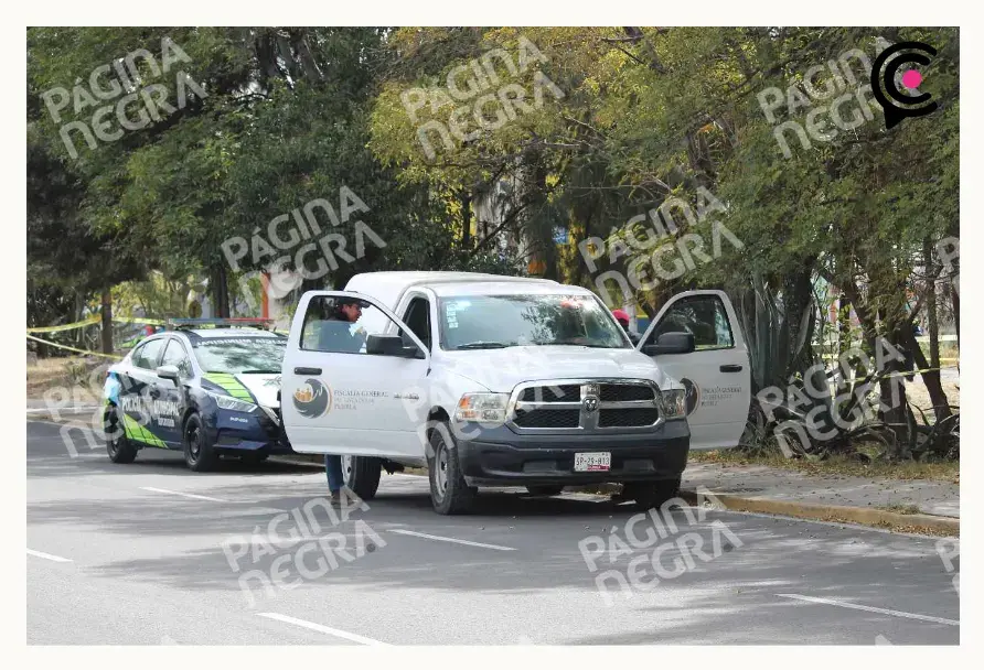 Abandonan cadáver con signos de violencia en la colonia Ciudad Satélite Magisterial en Puebla