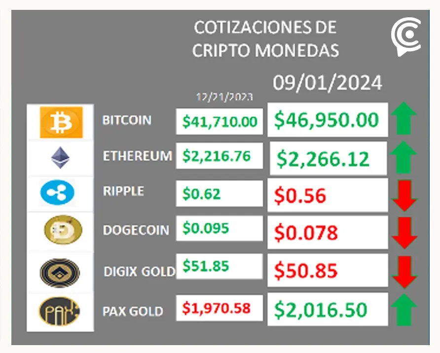 El caso Yox cayó en ponzi positivo