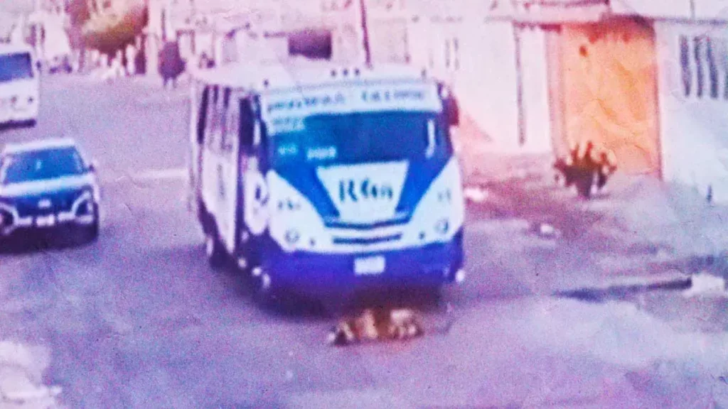 Conductor de la Ruta 14 A en Puebla atropelló intencionalmente a un perrito