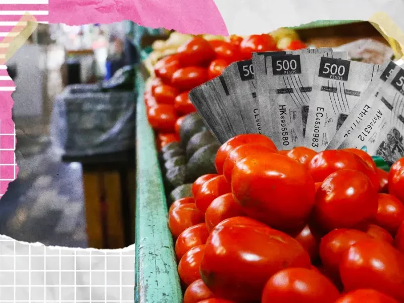 Precio del jitomate en Puebla llega hasta los 70 pesos el kilo este 2024