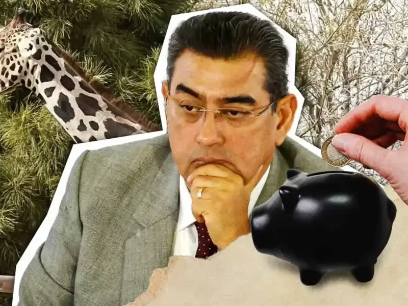 Sergio Salomón Céspedes ofrece pagar traslado de la jirafa Benito a Puebla