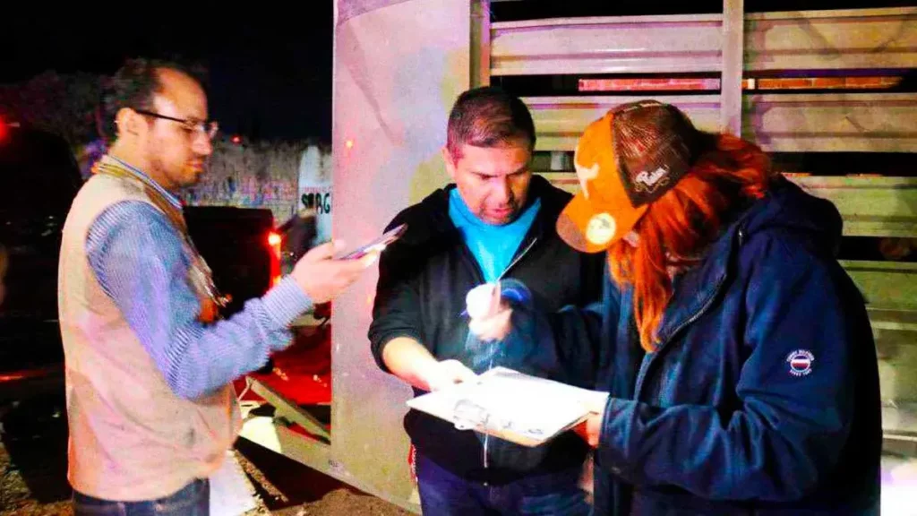 Rescatan a caballo maltratado en Coronango, Puebla; Cuacolandia lo resguarda