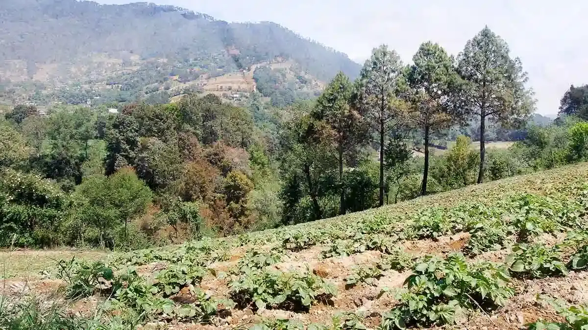 Tlatlauquitepec y Zacatlán tendrán áreas naturales protegidas estatales