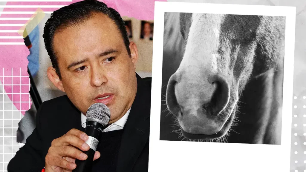 Congreso definirá en breve la fecha para tipificar la zoofilia como delito en Puebla