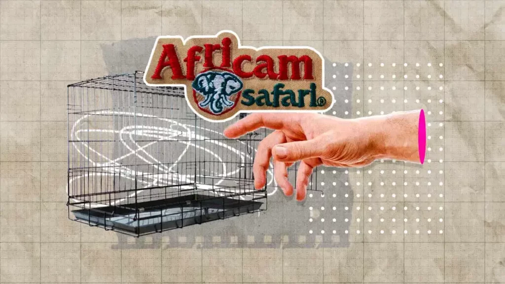 Africam Safari recibió 300 animales víctimas de tráfico ilegal en 2023