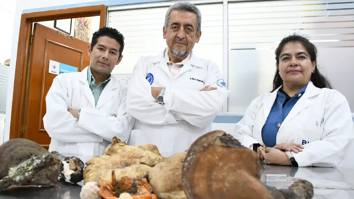 El CICA-ICUAP rescata saberes ancestrales sobre hongos silvestres en La Malinche