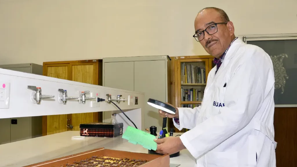 El estudio de insectos como indicadores ambientales