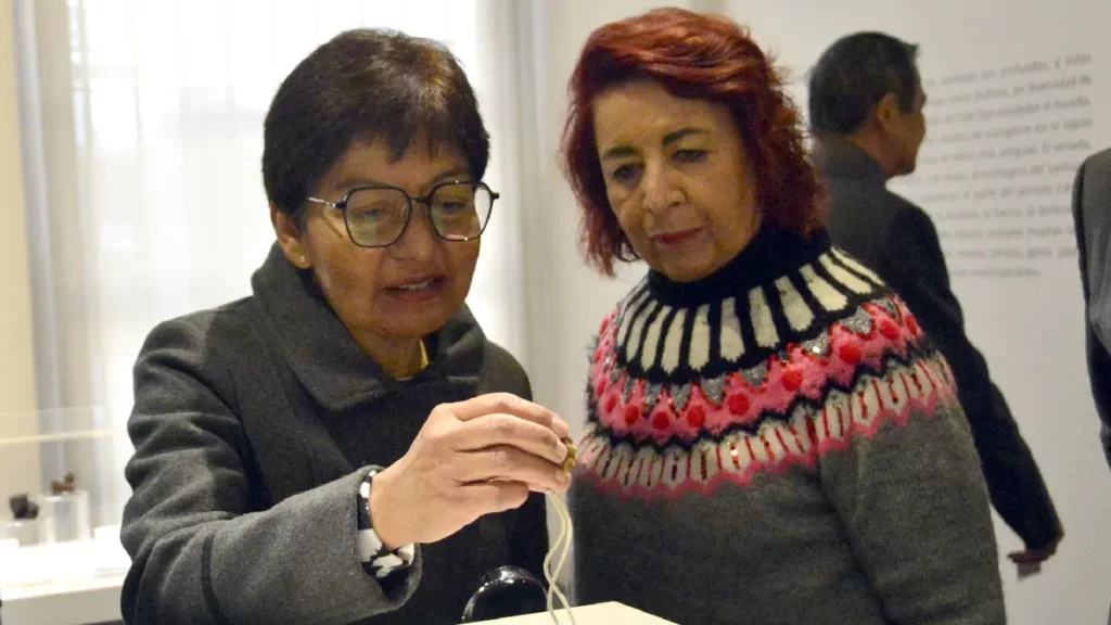 Museo Universitario Casa de los Muñecos abre sus puertas a la muestra “Netsuke. Japón en miniatura”