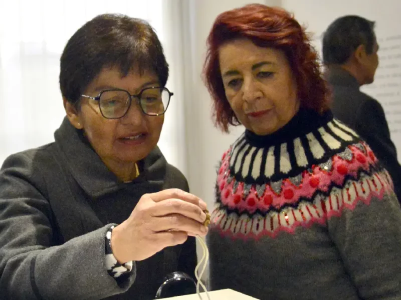 Museo Universitario Casa de los Muñecos abre sus puertas a la muestra “Netsuke. Japón en miniatura”