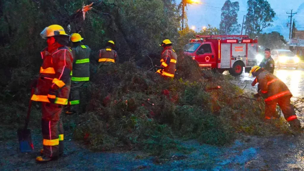Fuerte viento del 3 de febrero dejó 27 árboles caídos en Puebla