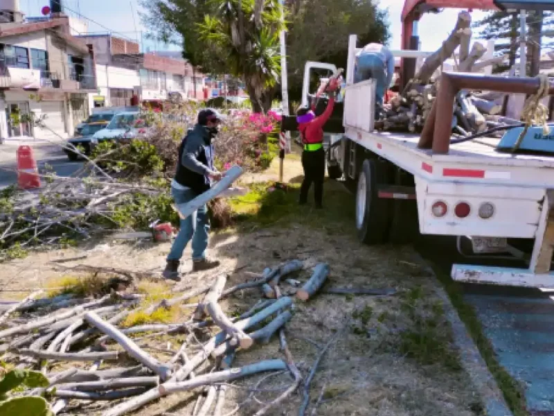 Ayuntamiento de Puebla retira desecho vegetal ante caída por fuertes ráfagas de viento