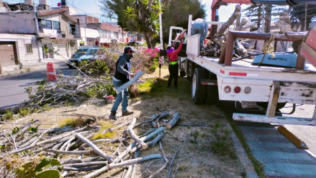 Ayuntamiento de Puebla retira desecho vegetal ante caída por fuertes ráfagas de viento