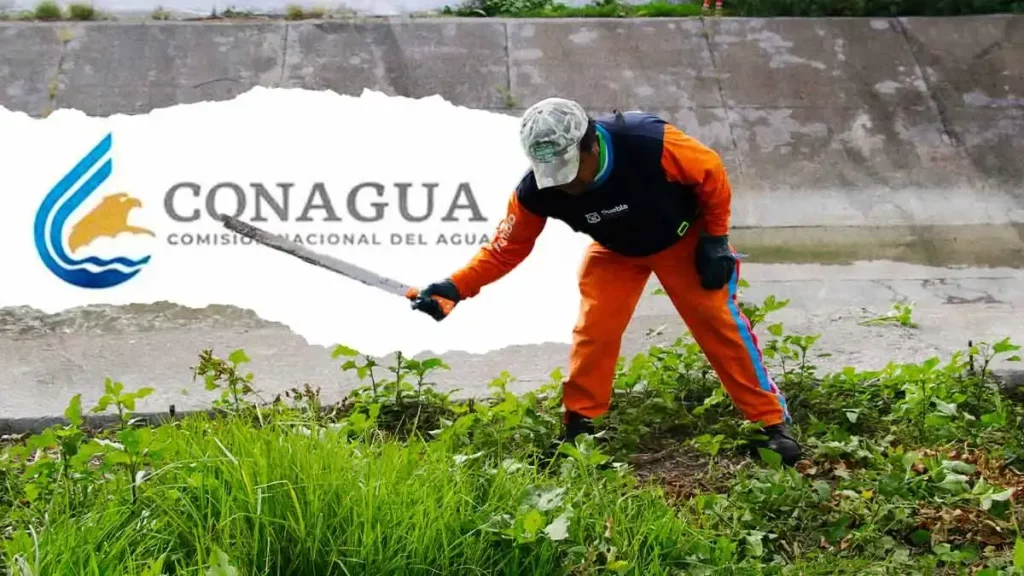 Conagua en Puebla recibe 15 denuncias por invasión en barrancas al mes