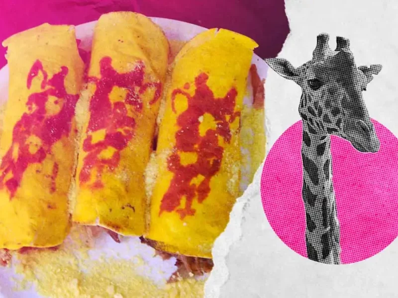 Taquería de Puebla crea el “Benitaco” en honor a la jirafa Benito